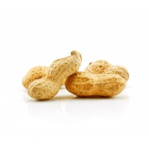 Ripe dried peanut